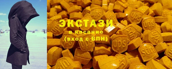 крисы Корсаков